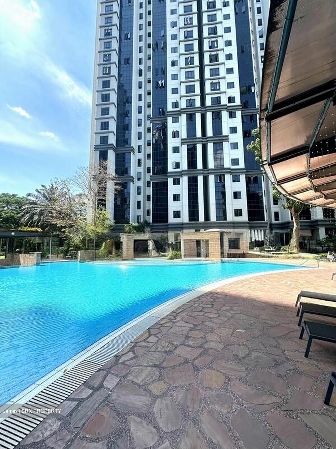 Regent Heights (D23), Condominium #502390591